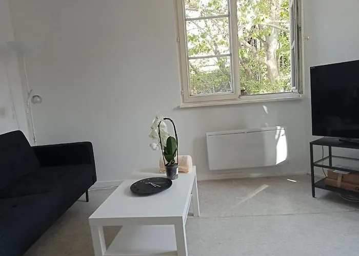 Apartament Au Coeur De La Petite France Strasburg