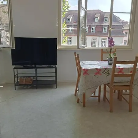 公寓 Au Coeur De La Petite France 斯特拉斯堡